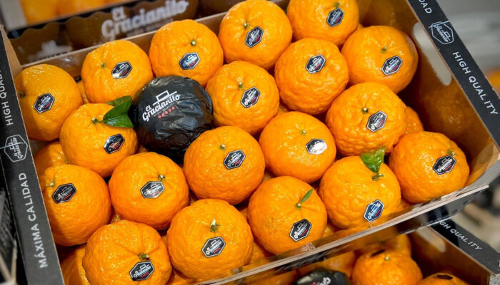 cerka-mandarinas-700x400
