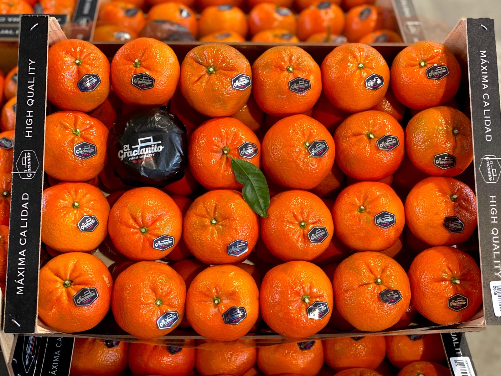 cerka-naranjas