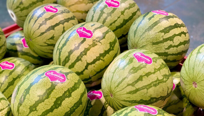 cerka-sandias-700x400